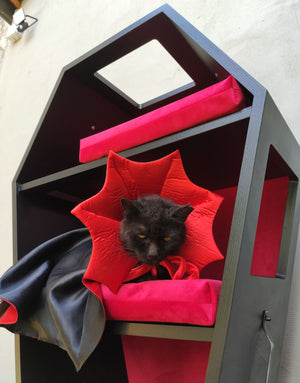 Big Cat Wall Shelf Bed Box Halloween - Wally Vampurrra - Scratchy Things Premium Pet Furniture