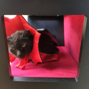 Big Cat Wall Shelf Bed Box Halloween - Wally Vampurrra - Scratchy Things Premium Pet Furniture