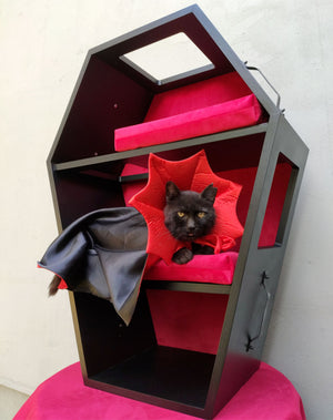 Big Cat Wall Shelf Bed Box Halloween - Wally Vampurrra - Scratchy Things Premium Pet Furniture