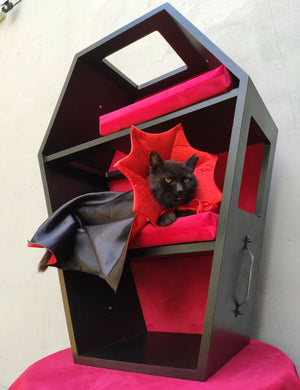Big Cat Wall Shelf Bed Box Halloween - Wally Vampurrra - Scratchy Things Premium Pet Furniture