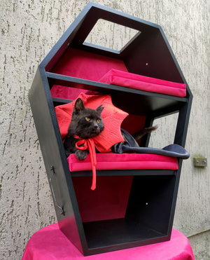 Big Cat Wall Shelf Bed Box Halloween - Wally Vampurrra - Scratchy Things Premium Pet Furniture