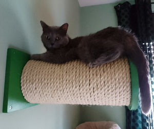 Cat Wall Scratching Pole Step Shelf - Wally Round Step Chonk - Scratchy Things Premium Pet Furniture