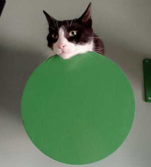 Cat Wall Scratching Pole Step Shelf - Wally Round Step Chonk - Scratchy Things Premium Pet Furniture