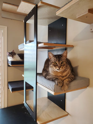 Big Cat Wall Shelf Bed - Wally BigCat Stacker - Scratchy Things Premium Pet Furniture