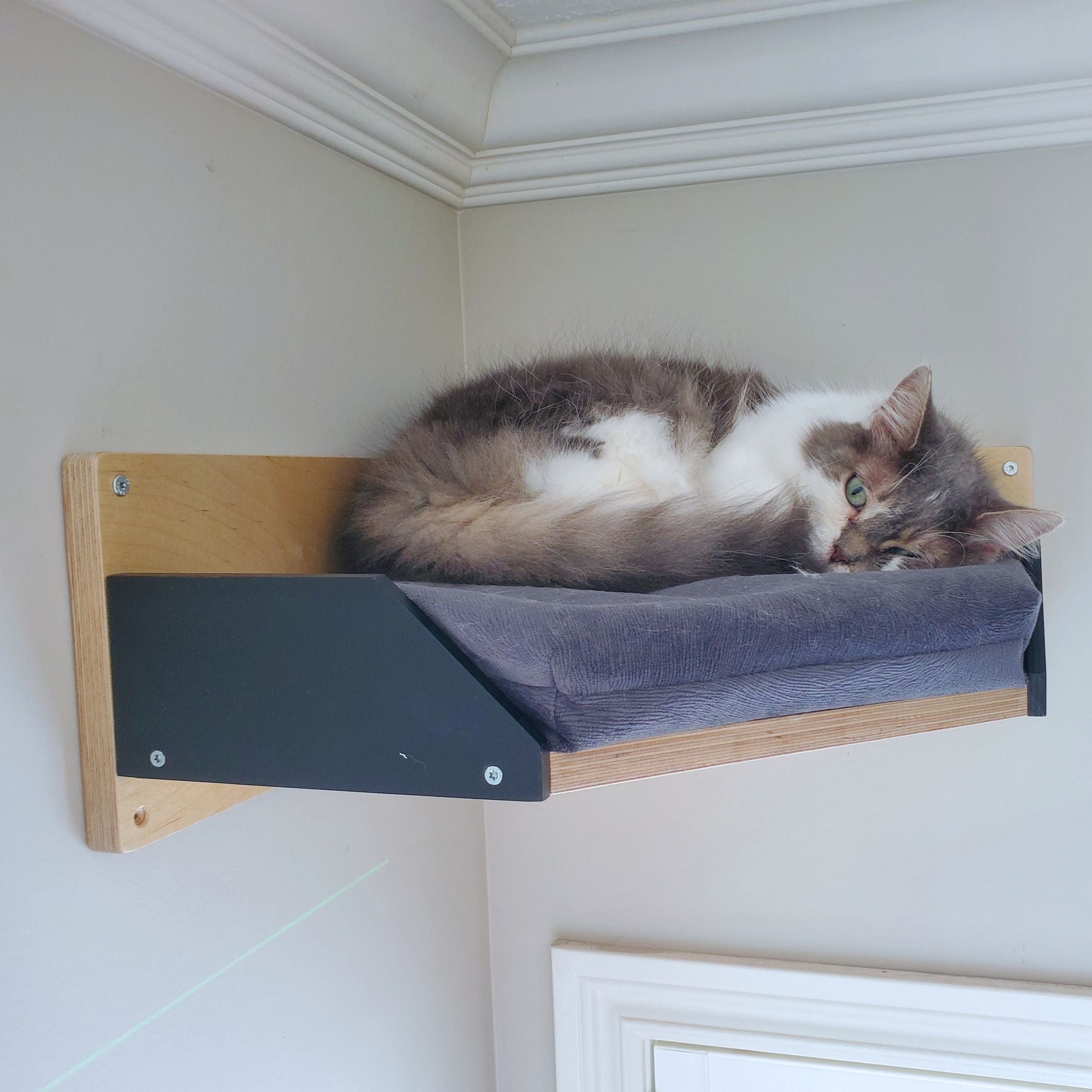 Corner cat shelf Clearance