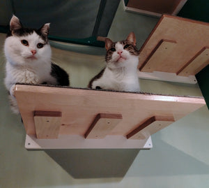 Cat Wall Shelf Step - Wally Flat - Scratchy Things Premium Pet Furniture