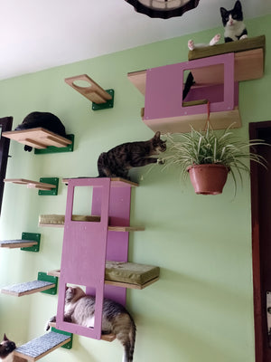 Cat Wall Shelf Step Bed Bundle - Hallway Bundle - Scratchy Things Premium Pet Furniture