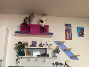 Cat Wall Shelf Bed - Wally Tunnel Upside-Down - Scratchy Things Premium Pet Furniture