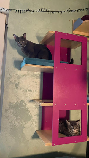 Big Cat Wall Shelf Bed - Wally BigCat Stacker - Scratchy Things Premium Pet Furniture