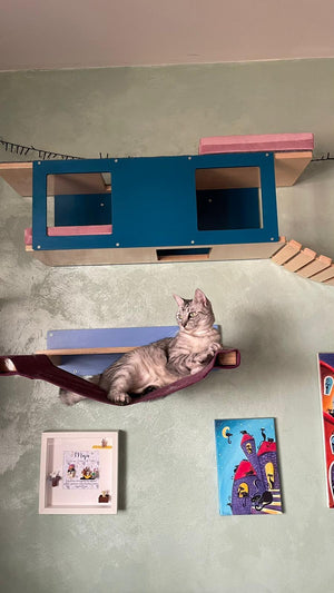 Cat Wall Shelf Bed - Wally Tunnel - Scratchy Things Premium Pet Furniture