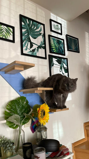 Car Wall Step Stairs - Wally 3-Step - Scratchy Things Premium Pet Furniture