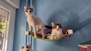 Cat Wall Shelf Bed Hammock - Wally Cot - Scratchy Things Premium Pet Furniture