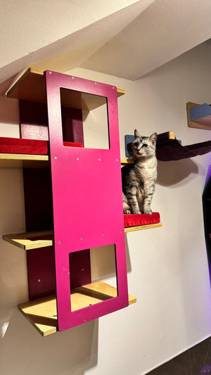 Big Cat Wall Shelf Bed - Wally BigCat Stacker - Scratchy Things Premium Pet Furniture