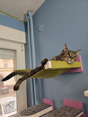Cat Wall Shelf Bed Hammock - Wally Cot - Scratchy Things Premium Pet Furniture