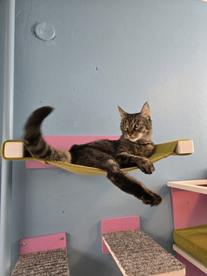 Cat Wall Shelf Bed Hammock - Wally Cot - Scratchy Things Premium Pet Furniture