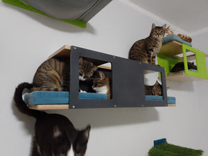 Cat Wall Shelf Bed - Wally Tunnel Upside-Down - Scratchy Things Premium Pet Furniture