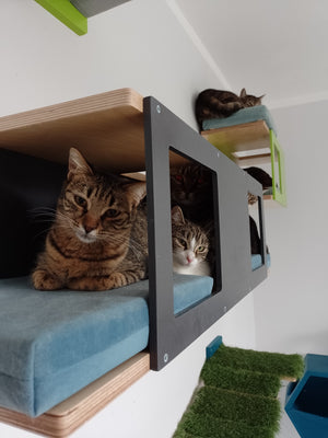 Cat Wall Shelf Bed - Wally Tunnel Upside-Down - Scratchy Things Premium Pet Furniture