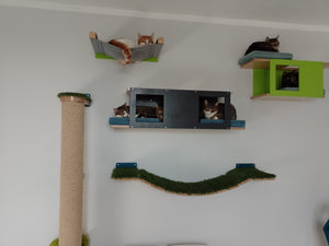Cat Wall Shelf Bed - Wally Tunnel Upside-Down - Scratchy Things Premium Pet Furniture