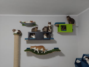 Cat Wall Shelf Bed - Wally Tunnel Upside-Down - Scratchy Things Premium Pet Furniture