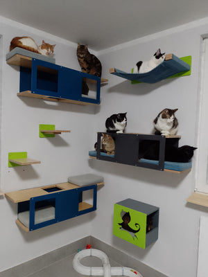 Cat Wall Shelf Bed - Wally Tunnel Upside-Down - Scratchy Things Premium Pet Furniture