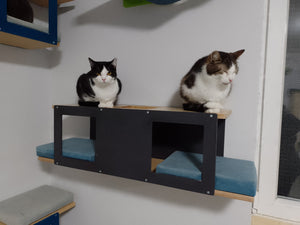 Cat Wall Shelf Bed - Wally Tunnel Upside-Down - Scratchy Things Premium Pet Furniture