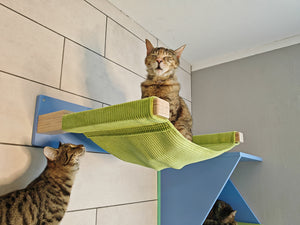 Cat Wall Shelf Bed Hammock - Wally ComboCot - Scratchy Things Premium Pet Furniture