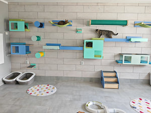 Cat Wall Bridge Ramp Shelf Step - Wally Path - Scratchy Things Premium Pet Furniture