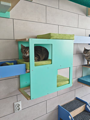 Cat Wall Shelf Bed - Wally Loft - Scratchy Things Premium Pet Furniture