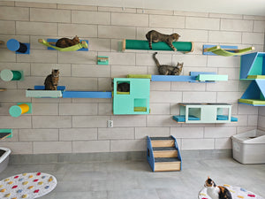 Cat Wall Shelf Bed - Wally Tunnel Upside-Down - Scratchy Things Premium Pet Furniture