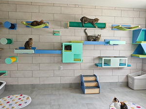 Cat Wall Shelf Bed - Wally Tunnel Upside-Down - Scratchy Things Premium Pet Furniture