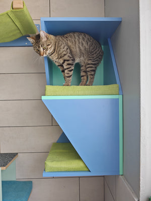 Cat Wall Shelf Bed Corner Box - Wally Sharp Tower - Scratchy Things Premium Pet Furniture