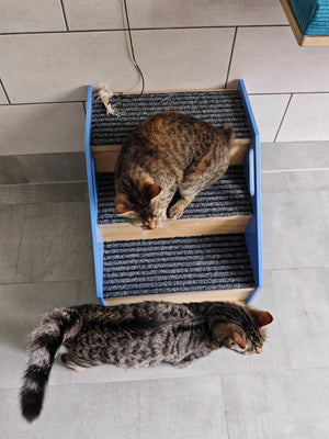 Cat Stairs Box House Bed - Boxy 3-Step - Scratchy Things Premium Pet Furniture