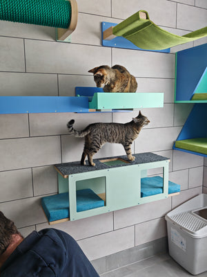 Cat Wall Shelf Bed - Wally Tunnel Upside-Down - Scratchy Things Premium Pet Furniture