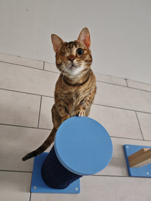 Cat Wall Scratching Pole Step Shelf - Wally Round Step - Scratchy Things Premium Pet Furniture
