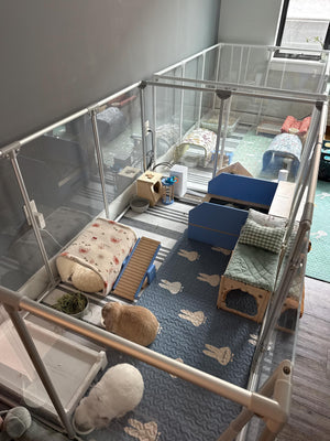 Rabbit Hay Feeder Litter box - Nibbler NaughtyVille 2in1 - Scratchy Things Premium Pet Furniture