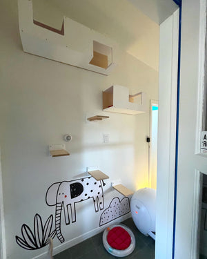 Cat Wall Shelf Step Bed Bundle - Mezzanines Bundle - Scratchy Things Premium Pet Furniture