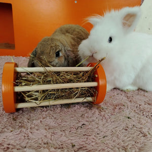 Rabbit Seesaw Toy - Nibbler Cylinder - Scratchy Things Premium Pet Furniture