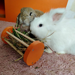 Rabbit Seesaw Toy - Nibbler Cylinder - Scratchy Things Premium Pet Furniture