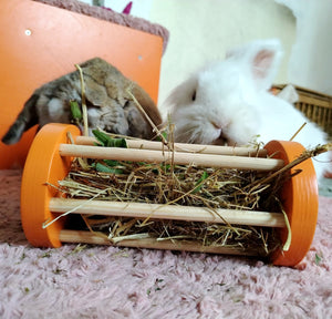 Rabbit Seesaw Toy - Nibbler Cylinder - Scratchy Things Premium Pet Furniture