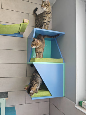 Multilevel corner cat shelf. There are 3 tabby cats on different levels of the shelf. The tower is fun, asymmetrical and is painted in two colors. Most of the tower is in heaven blue, while the middle and back full plates are in mint and form sort od a Z shape. There are town comfortable large cushions in green.