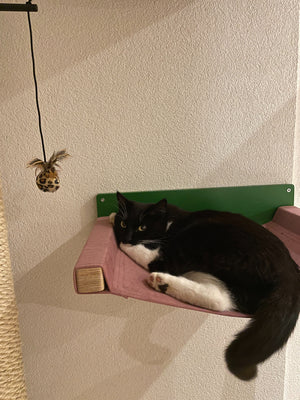 Cat Wall Shelf Bed Hammock - Wally Cot - Scratchy Things Premium Pet Furniture