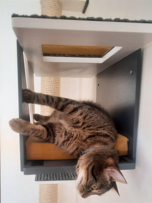 Cat Wall Shelf Bridge Bed Post Bundle - Cozy Apartment Bundle - Scratchy Things Premium Pet Furniture