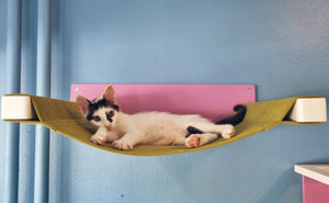 Cat Wall Shelf Bed Hammock - Wally Cot - Scratchy Things Premium Pet Furniture