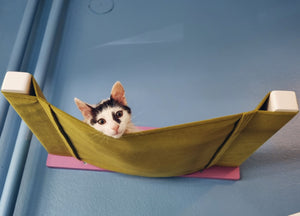 Cat Wall Shelf Bed Hammock - Wally Cot - Scratchy Things Premium Pet Furniture