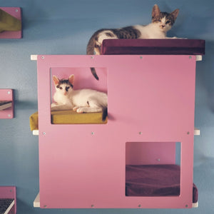 Cat Wall Shelf Bed - Wally Loft - Scratchy Things Premium Pet Furniture