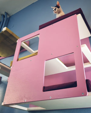 Cat Wall Shelf Bed - Wally Loft - Scratchy Things Premium Pet Furniture