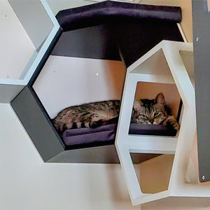 Cat Wall Shelf Hexagonal Corner Bed - Wally Hex Corner 25 - Scratchy Things Premium Pet Furniture