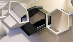 Cat Wall Shelf Hexagonal Corner Bed Bundle - Corner Hex Bundle - Scratchy Things Premium Pet Furniture