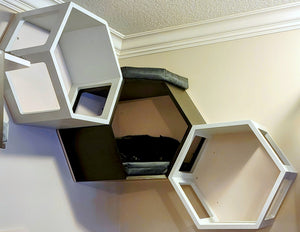 Cat Wall Shelf Hexagonal Corner Bed Bundle - Corner Hex Bundle - Scratchy Things Premium Pet Furniture