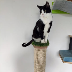 Cat Wall Scratching Pole Post Shelf - Wally Post - scratching pole - Scratchy Things Premium Pet Furniture